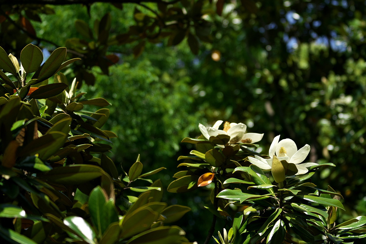 a0083081_21380766.jpg