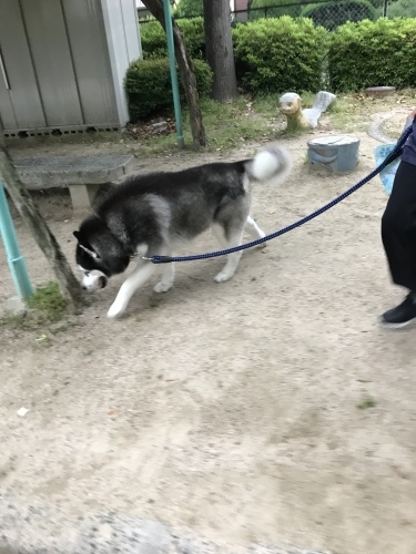f0315081_21453138.jpeg