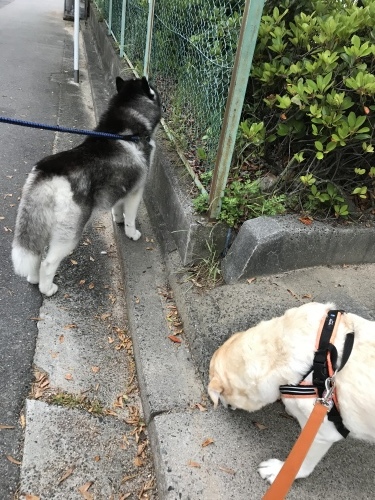 f0315081_21483931.jpeg