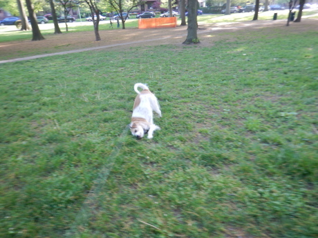 c0253487_00532919.jpg