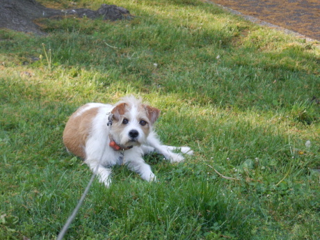 c0253487_00545233.jpg
