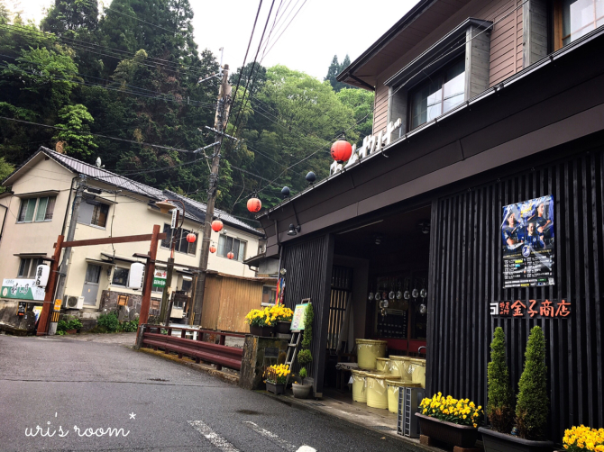 湯布院旅行記  〜絶品スイーツと絶品ピーナッツ豆腐！_a0341288_22030500.jpg