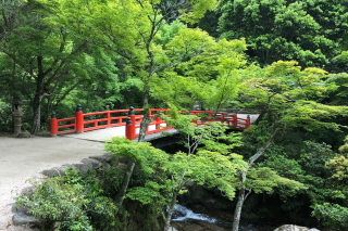 a0233991_20073473.jpg