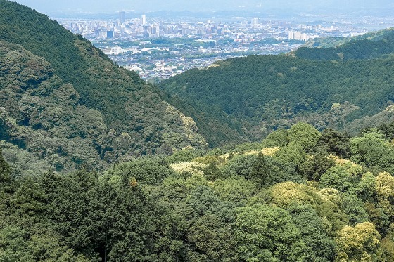 e0176993_07352814.jpg