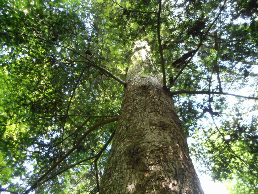 f0075595_23080543.jpg