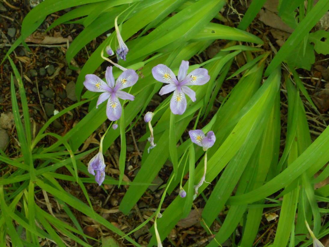 f0075595_23100320.jpg