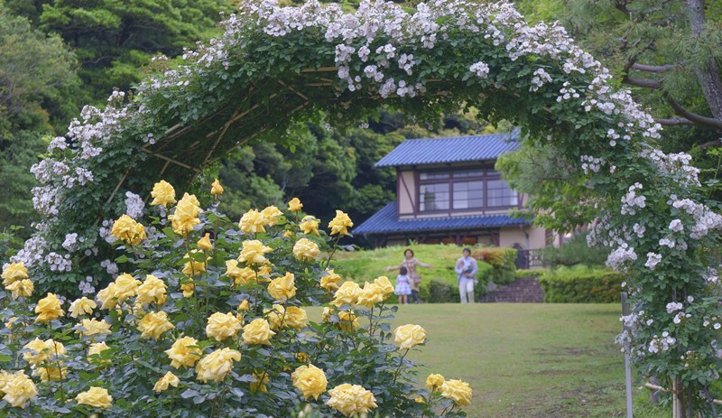 b0145398_00245969.jpg