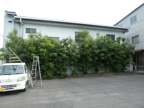 c0108198_17250705.jpg