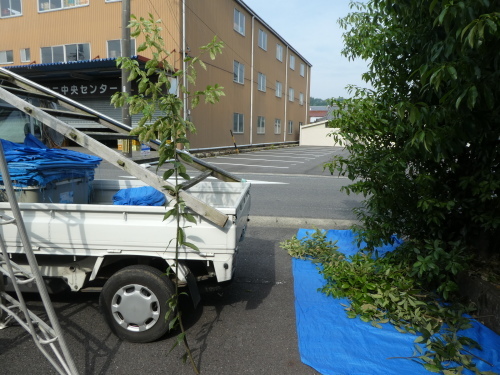 c0108198_17252679.jpg