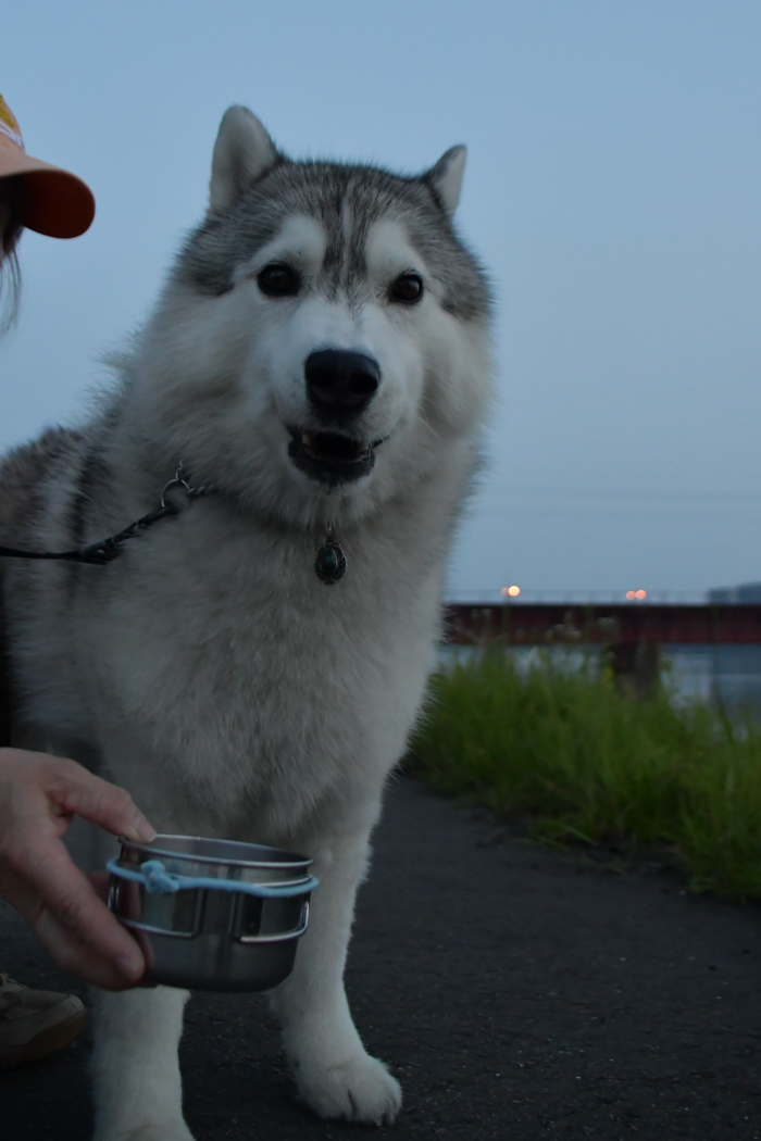 c0049299_21474991.jpg