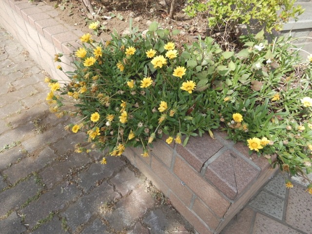 e0025300_18069.jpg