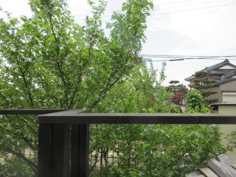 a0203003_11413327.jpg