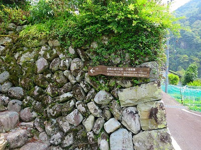 d0360104_16315437.jpg