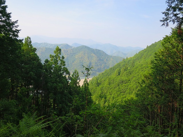 d0360104_16363847.jpg