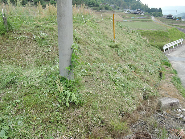 d0168406_07220667.jpg