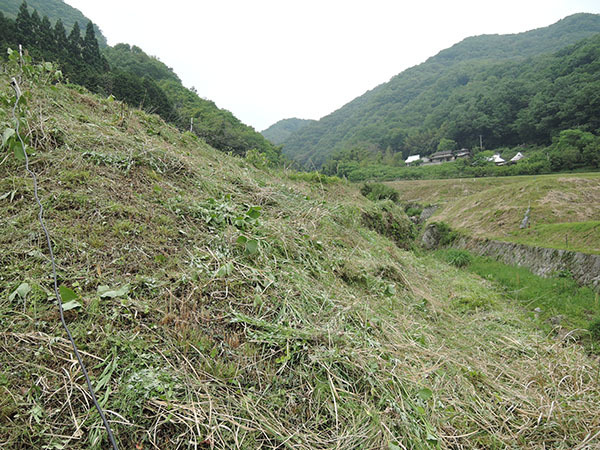 d0168406_07222787.jpg