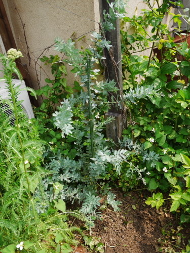 c0301808_06445846.jpg