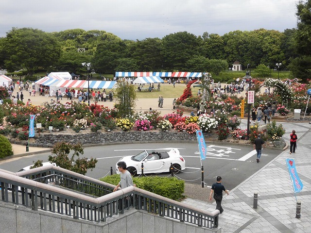 大雨の直前　中央公園で「ばら祭り」と「富士山オールドカーフェスタ」_f0141310_07162922.jpg