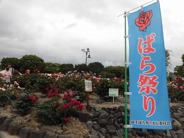 大雨の直前　中央公園で「ばら祭り」と「富士山オールドカーフェスタ」_f0141310_07163717.jpg