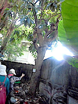 a0019212_17342027.jpeg