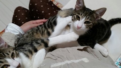 e0144012_00201846.jpeg