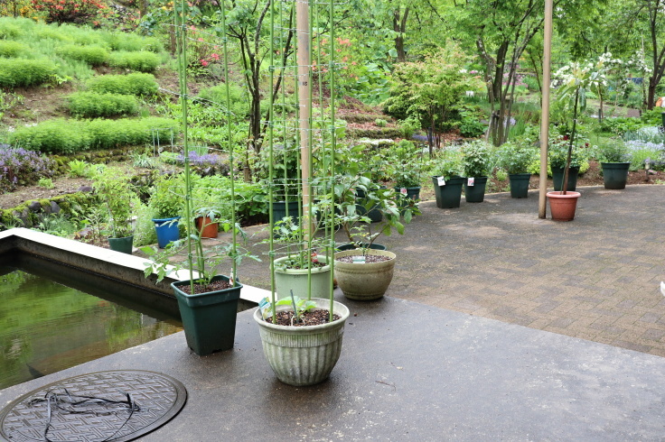 f0067514_22011271.jpg