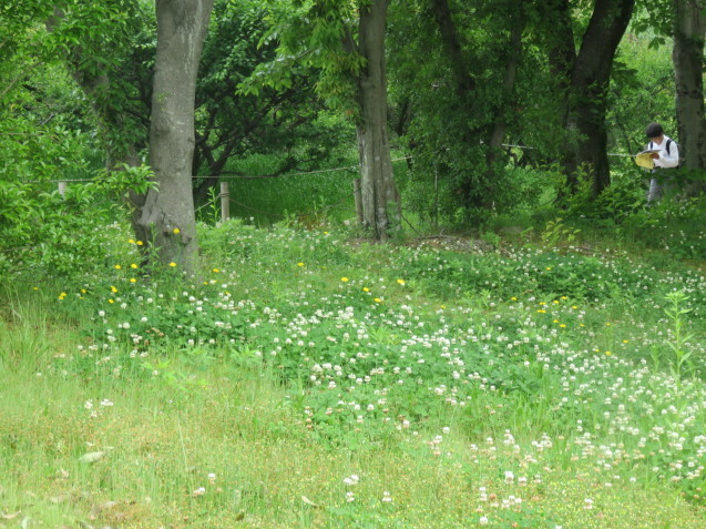 b0344816_13251321.jpeg