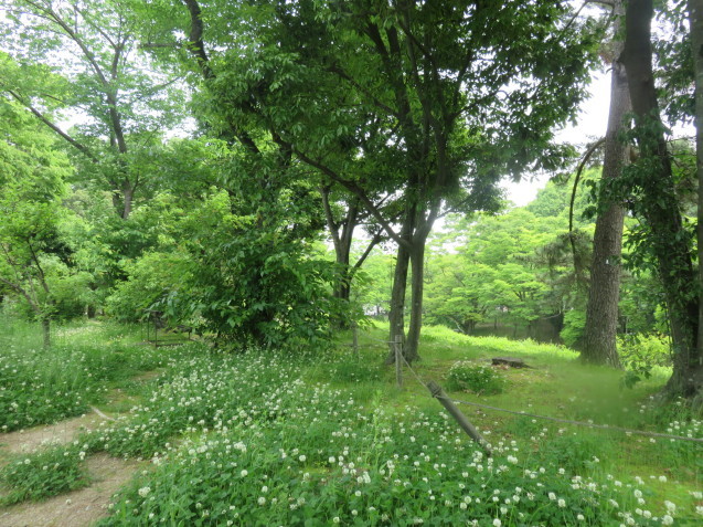 b0344816_13255179.jpeg