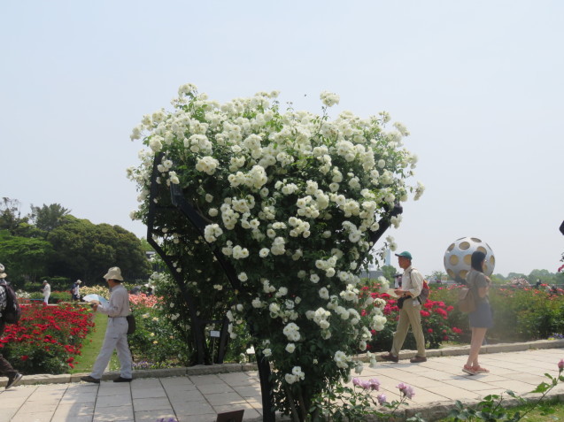 b0344816_13351635.jpeg