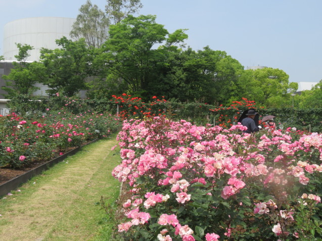 b0344816_13353266.jpeg