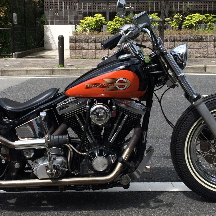 EVO Bobber_b0160319_17521507.jpg