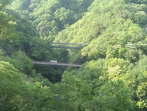 f0000521_00225612.jpg