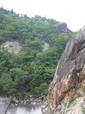 f0193521_92628.jpg