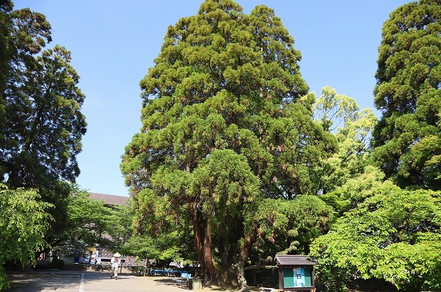 a0242438_19410179.jpg
