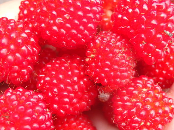 a0054240_22022647.jpg