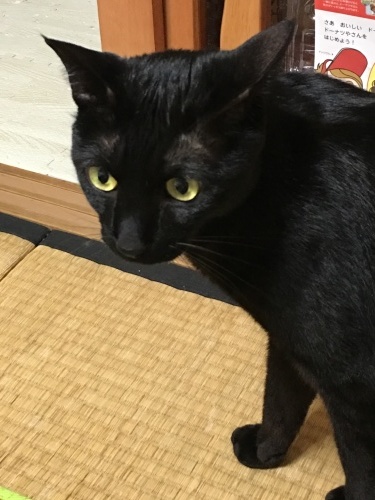 b0341440_22562153.jpeg