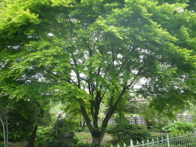 盛岡雫石 #3_b0207642_15512077.jpg