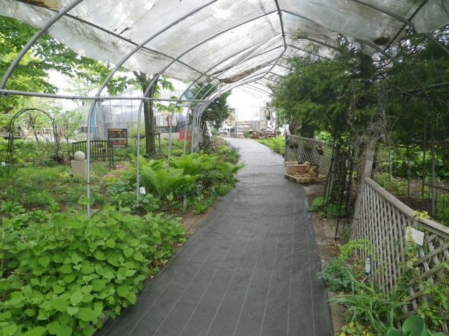 盛岡雫石 #3_b0207642_15564223.jpg