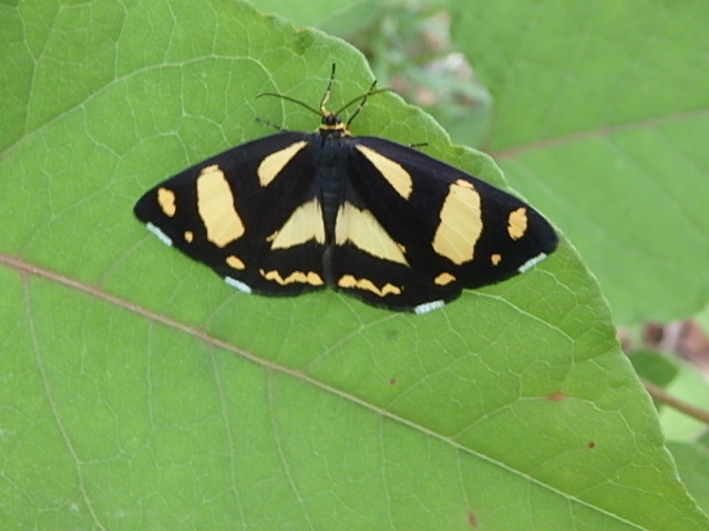 f0334143_96282.jpg