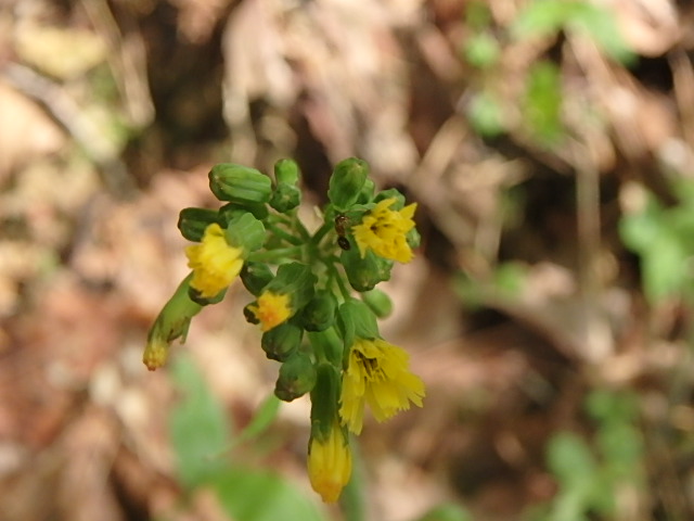 f0334143_97447.jpg