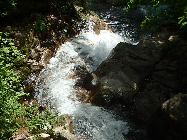 f0334143_98921.jpg