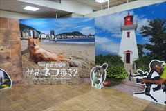 f0396143_12182863.jpg