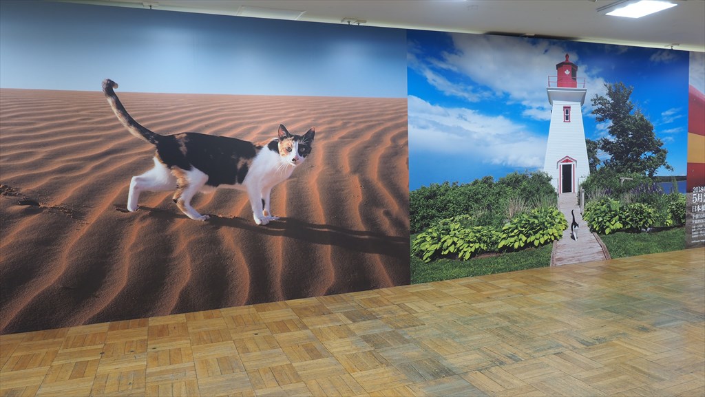 f0396143_12532136.jpg