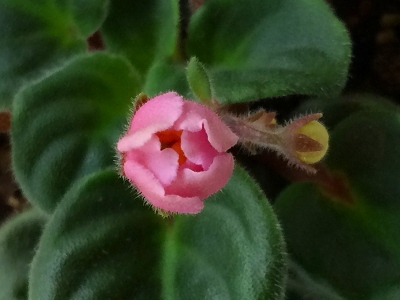 d0131847_17001570.jpg
