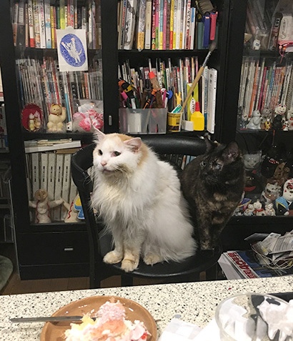 くれそうな人を見る_a0028451_12464750.jpg