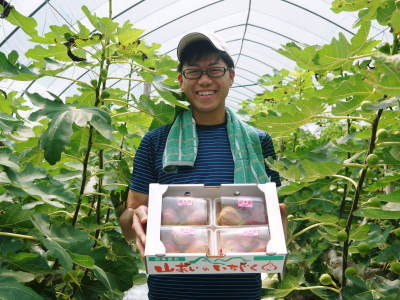 甘熟いちじく 芽吹きと芽カギ&脇芽カギ作業(2020)惜しまぬ手間ひまと匠の技で甘く美味しく育て上げます_a0254656_17404017.jpg