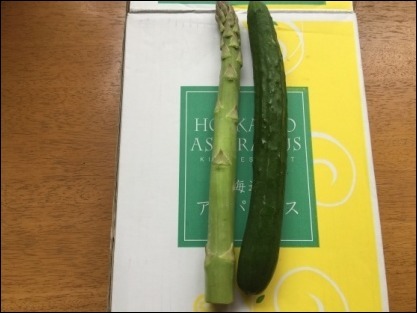 b0300759_08511480.jpeg
