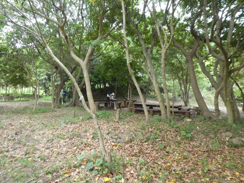 c0108460_15503498.jpg