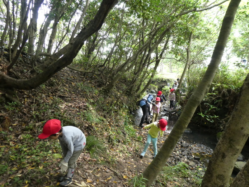 c0108460_15513379.jpg