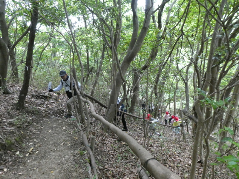 c0108460_15564322.jpg